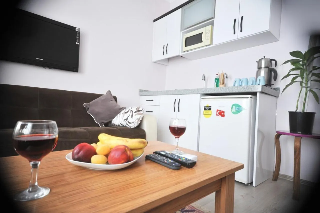 Feyza Apart Istanbul Apartment
